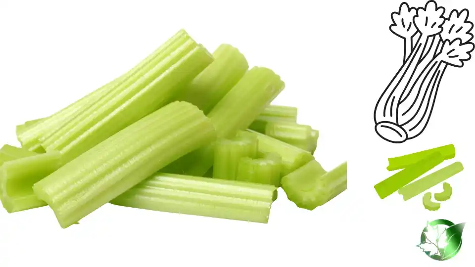 Commercial presentation of Frozen Celery for wholesale product evaluation and buyer review.